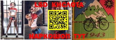 спайс Кингисепп