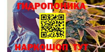 гидра Кимры