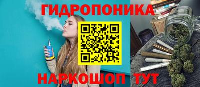 крисы Конаково