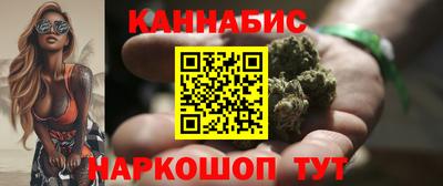 спайс Кингисепп