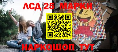 спайс Кингисепп