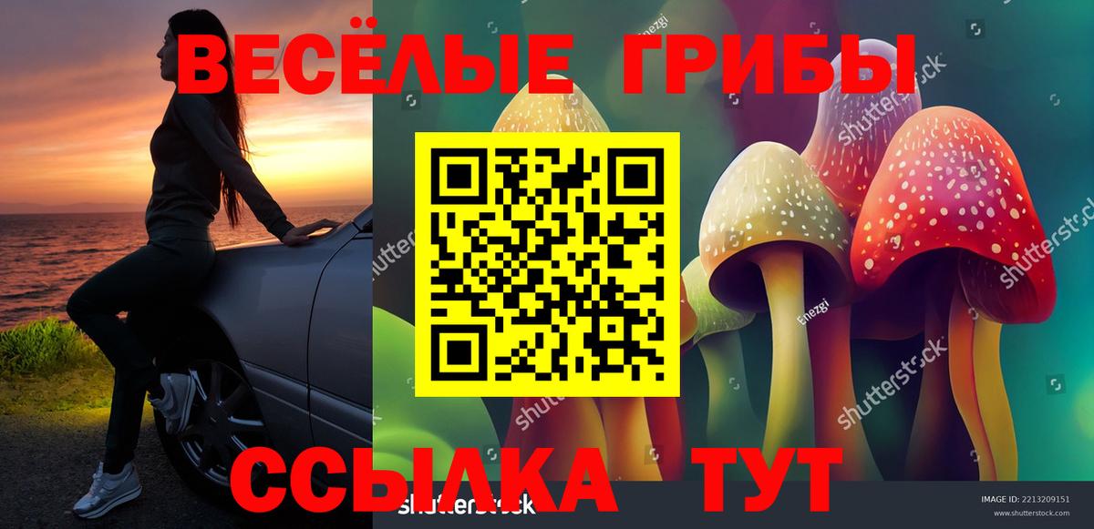 Галлюциногенные грибы Psilocybine cubensis Усть-Джегута