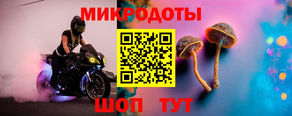 Усть-Джегута  Псилоцибиновые грибы Cubensis  Вход с VPN  Галлюциногенные грибы Cubensis 